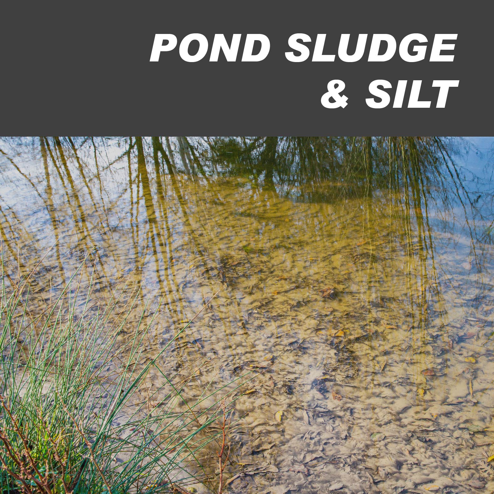 Pond Sludge & Silt Remover